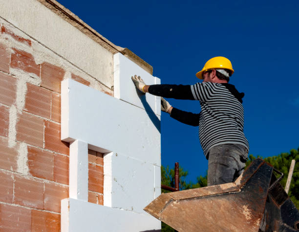Best Insulation Maintenance and Repair in Elm Springs, AR