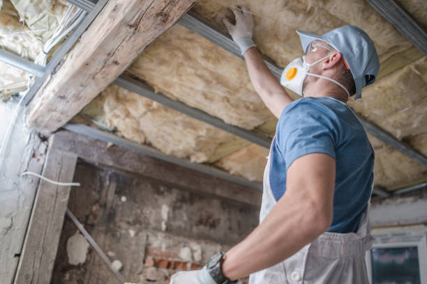 Best Geographic-Specific Insulation Services in Elm Springs, AR
