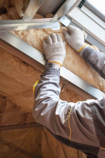 Best DIY Insulation Kits and Guidance in Elm Springs, AR
