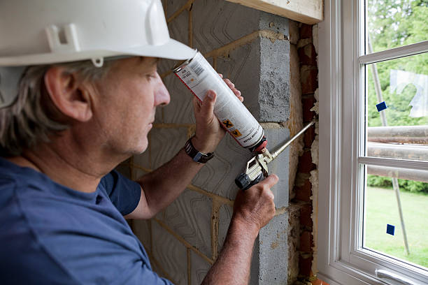 Best Geographic-Specific Insulation Services in Elm Springs, AR