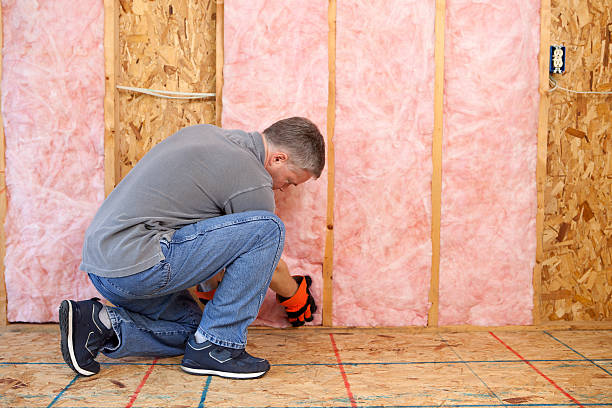 Best Cellulose Insulation in Elm Springs, AR