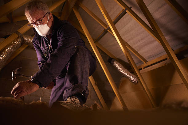 Best Blown-in Insulation in Elm Springs, AR