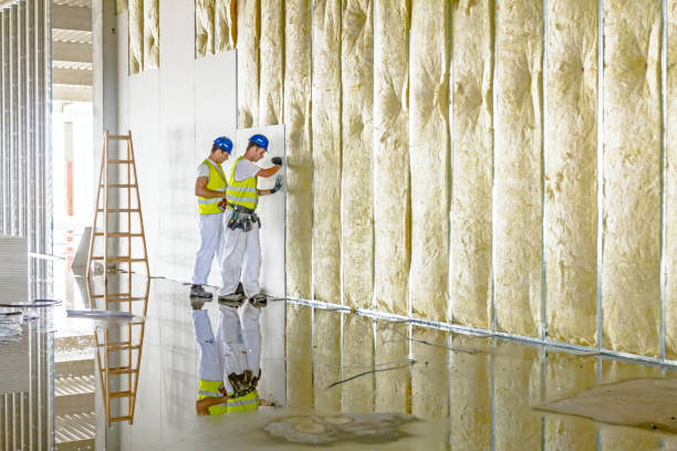 Best Eco-Friendly Insulation in Elm Springs, AR